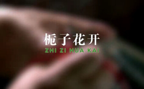 栀子花开（三等奖）