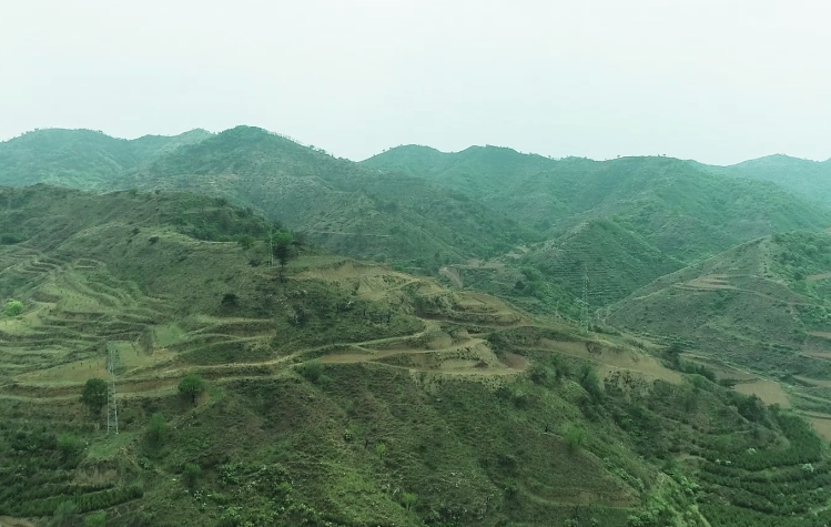 【党员风采微视频展播54】长治市武乡县人民检察院篇