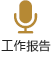 工作报告
